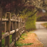 Digital Background: Wood Fence - Meg Bitton Productions