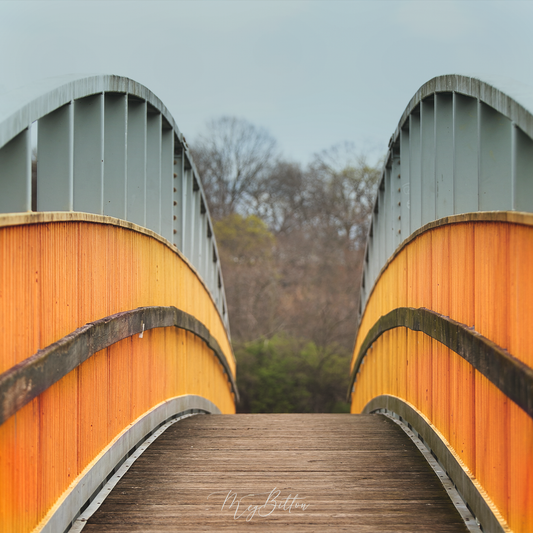 Digital Background: Yellow Bridge - Meg Bitton Productions