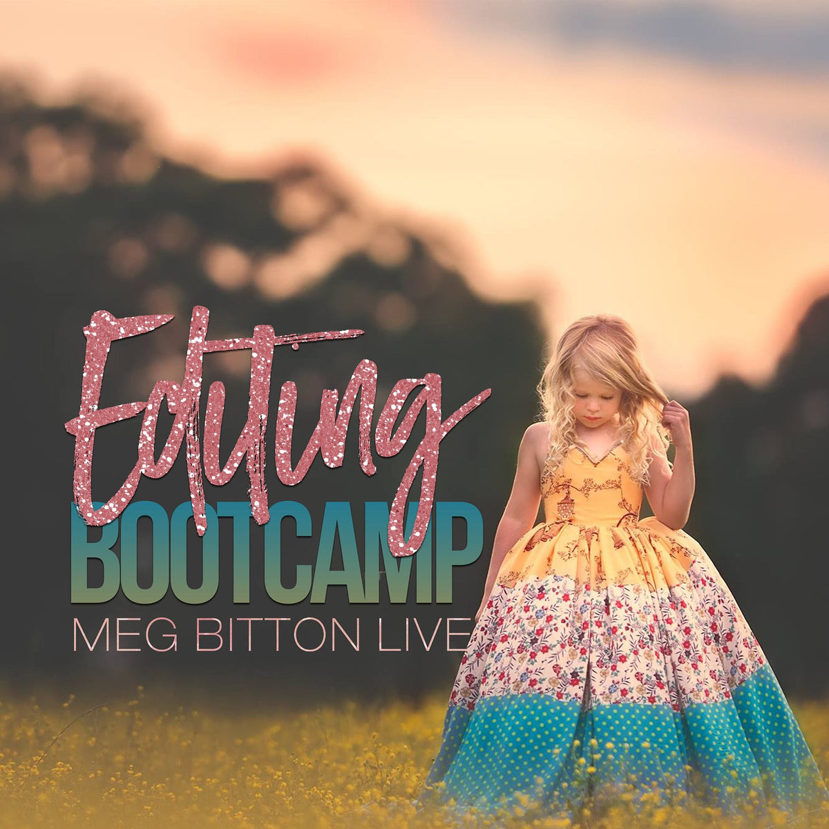 Editing Bootcamp August 2017 - Meg Bitton Productions