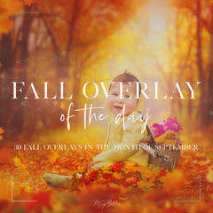 Fall Overlay of the Day - Meg Bitton Productions