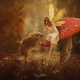 Fairy Composite Fundamentals - Meg Bitton Productions