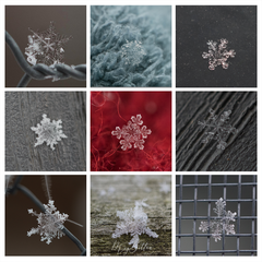 Foundations of Photographing Snowflakes - January 2023 - Meg Bitton Productions