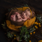 Newborn Fundamentals - Meg Bitton Productions