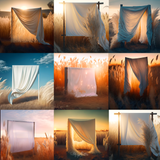 Prairie Backdrop Digital Background Bundle - Meg Bitton Productions