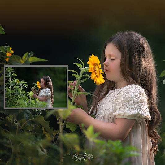 Sunflower Dreams - Meg Bitton Productions
