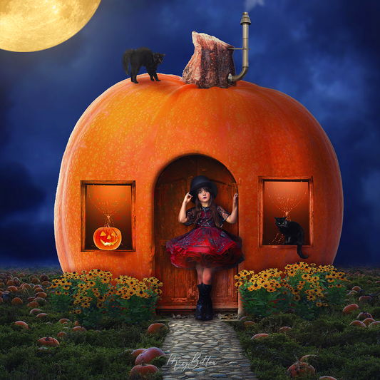 Little Pumpkin House - Meg Bitton Productions