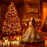 The Holiday Light Kit - Meg Bitton Productions