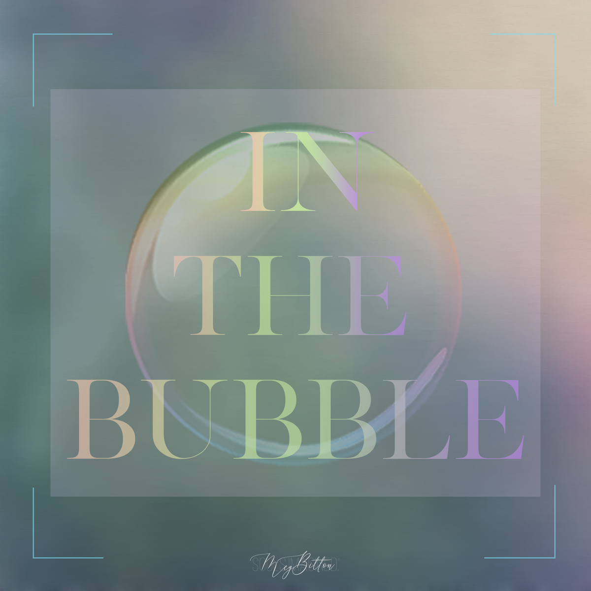 In the Bubble - Meg Bitton Productions