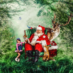Digital Background: Forest Santa - Meg Bitton Productions
