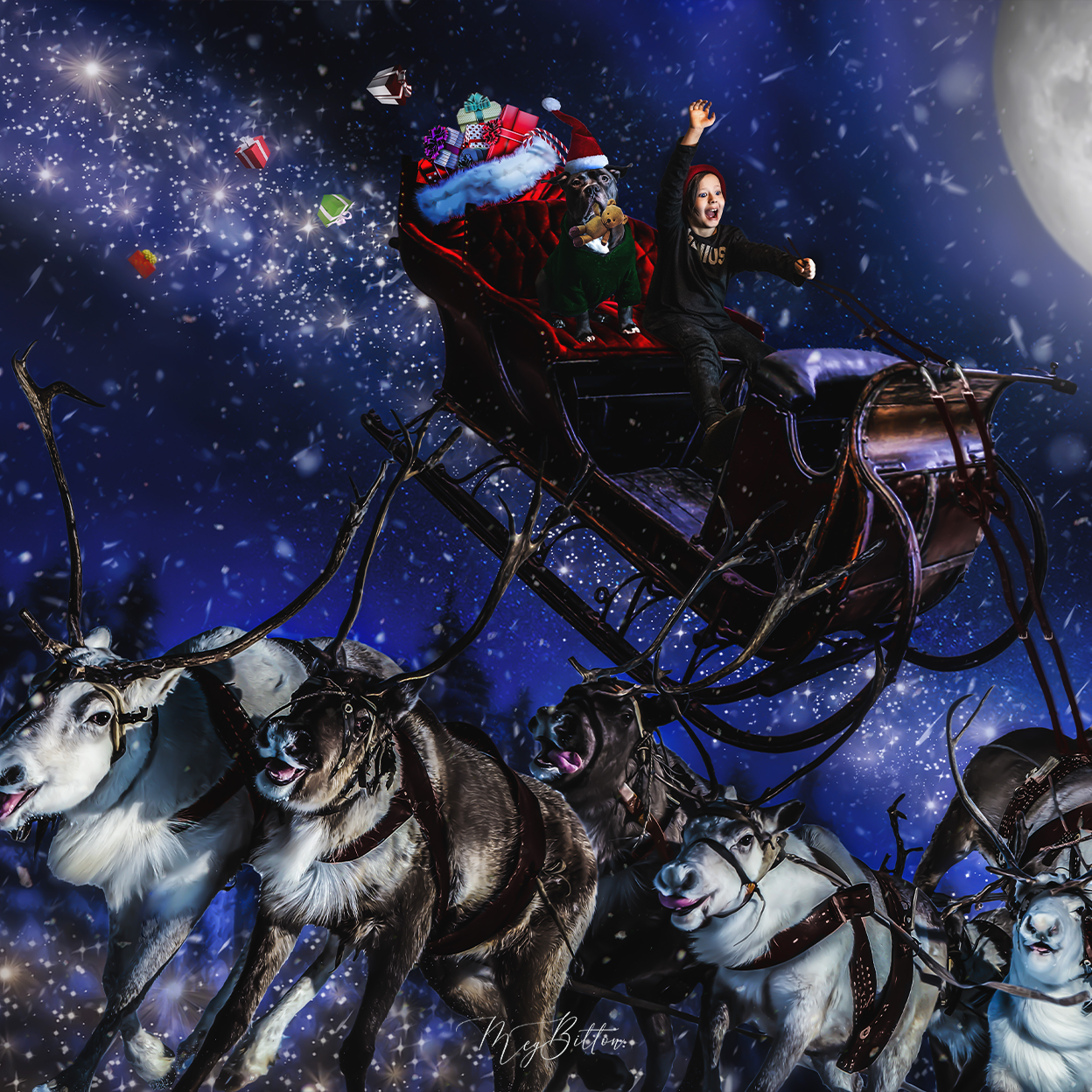 Digital Background: Reindeer Joyride - Meg Bitton Productions