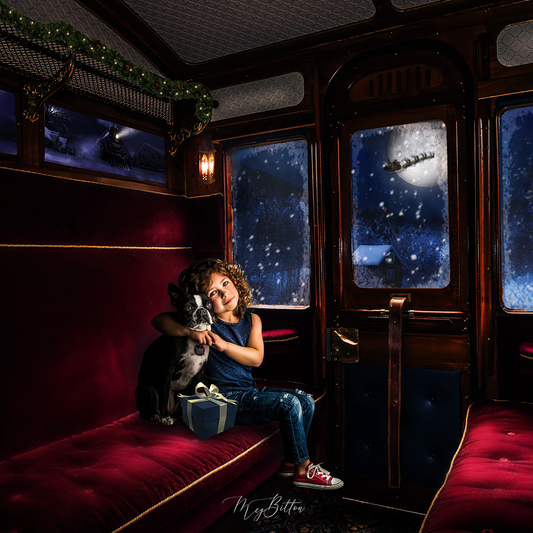 Digital Background: Winter Train - Meg Bitton Productions