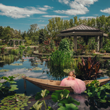 Lily Pad Pond Layered Digital Background - Meg Bitton Productions