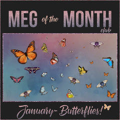 Meg of the Month - January - Meg Bitton Productions