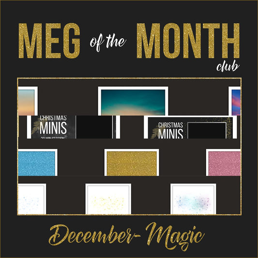 Meg of the Month - December - Meg Bitton Productions