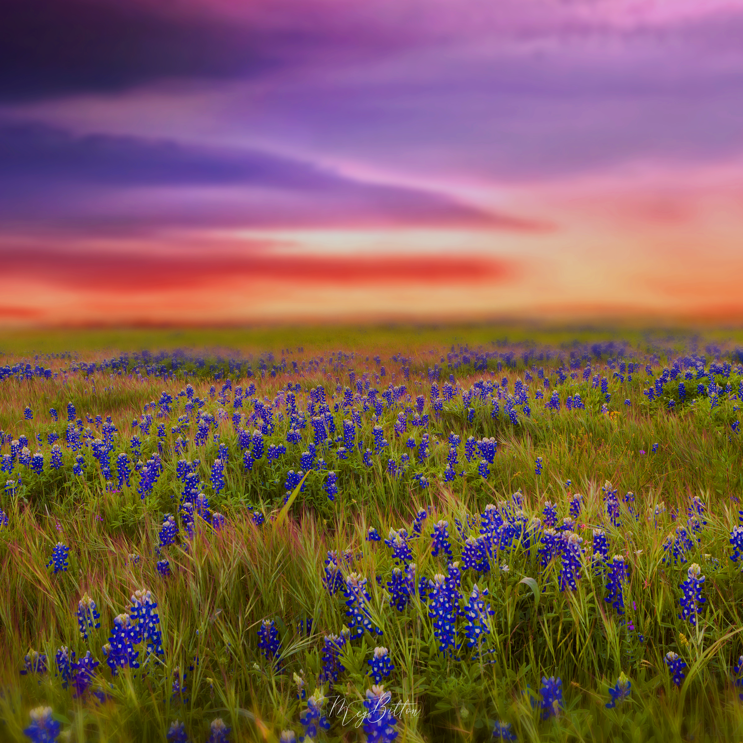 Magical Bundle of Field Backgrounds