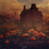 Magical Bundle of Halloween Digital Products - Meg Bitton Productions