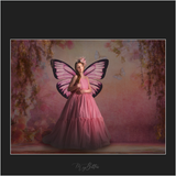 Magical Butterfly Fairy Wings - Meg Bitton Productions