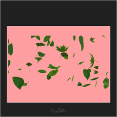 Magical Green Falling Leaves Overlay - Meg Bitton Productions