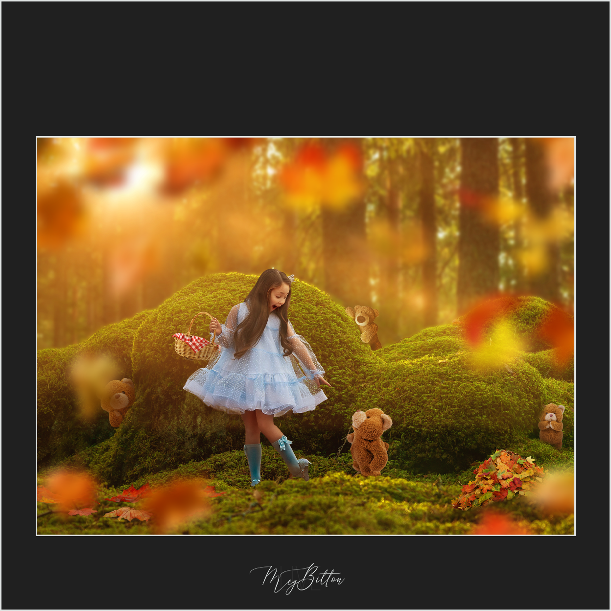 Magical Harvest Leaves Overlays - Meg Bitton Productions