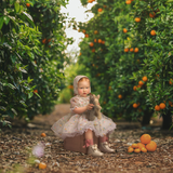 Magical Orange Grove Layered Digital Background - Meg Bitton Productions