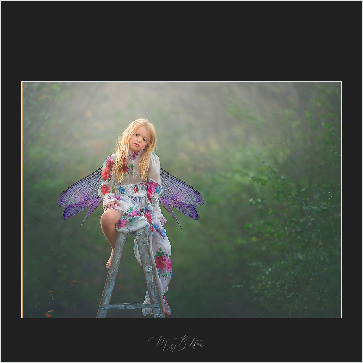 Magical Pixie Wings - Meg Bitton Productions