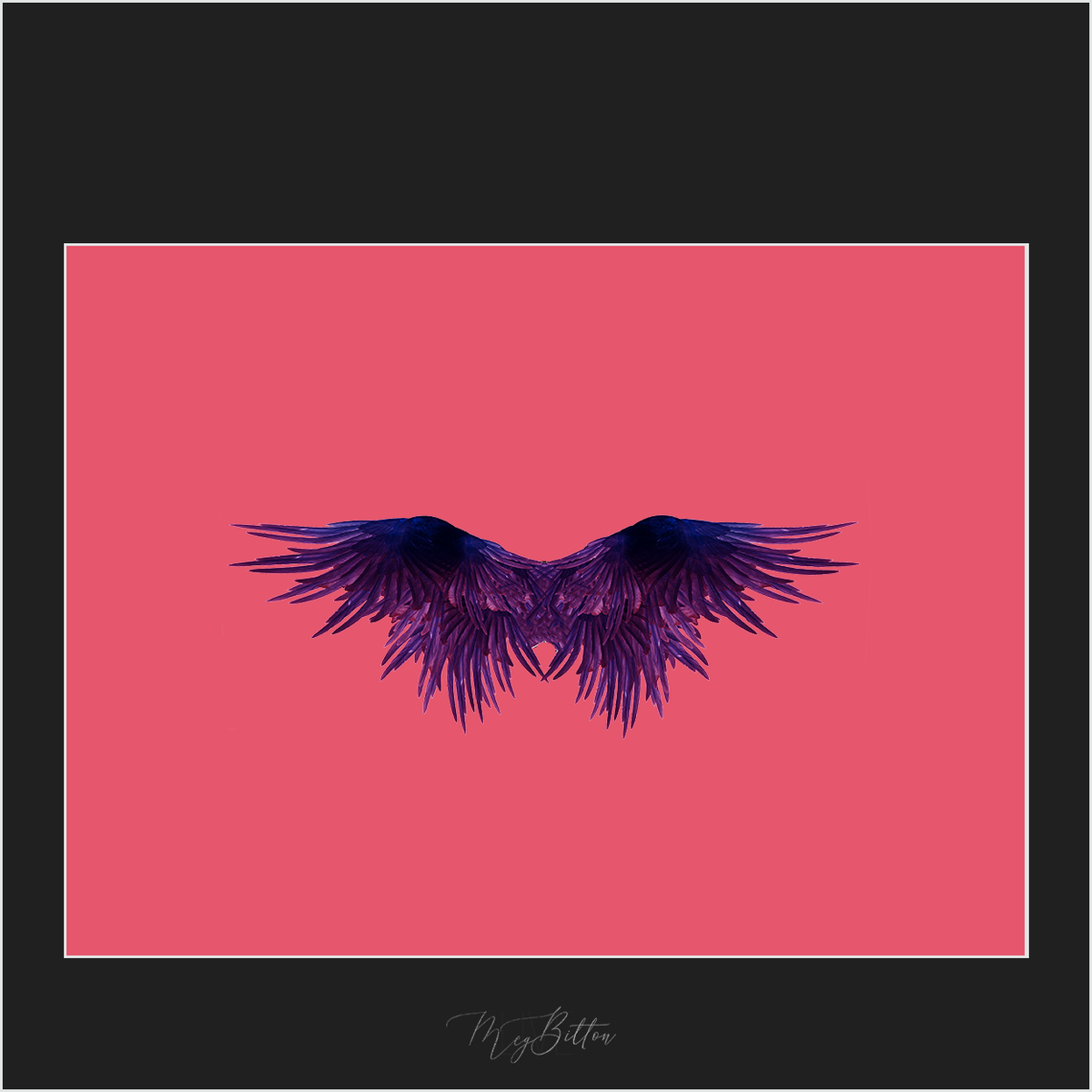 Magical Purple Wings Overlay - Meg Bitton Productions