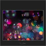 Rainbow Bubble Bokeh - Meg Bitton Productions