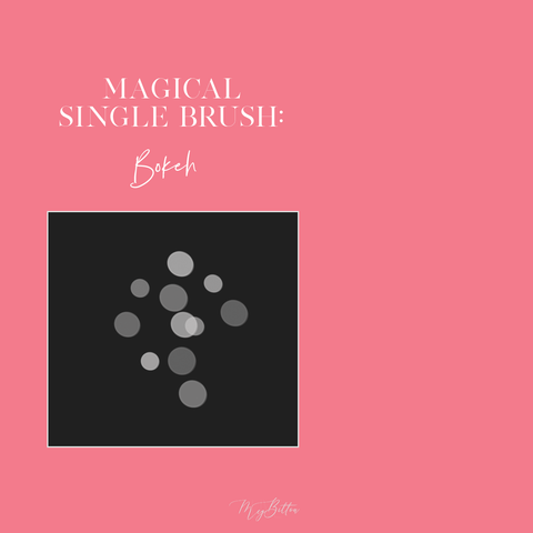Magical Single Brush - Bokeh - Meg Bitton Productions