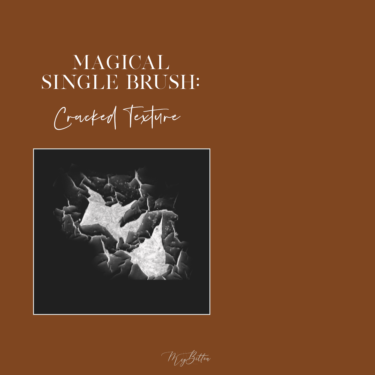 Magical Single Brush - Cracked Texture - Meg Bitton Productions