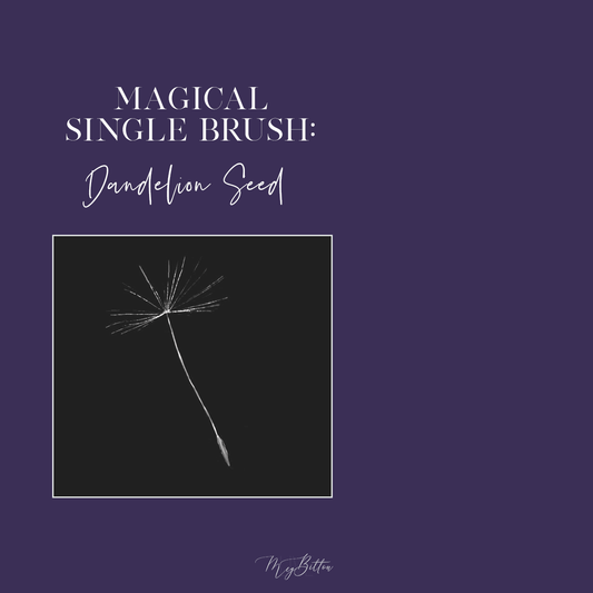 Magical Single Brush - Dandelion Seed - Meg Bitton Productions
