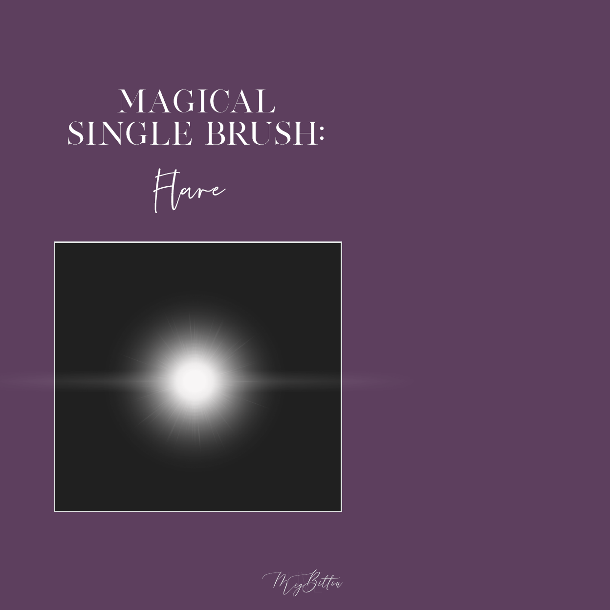 Magical Single Brush - Flare - Meg Bitton Productions