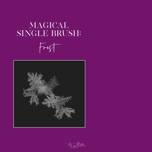 Magical Single Brush - Frost - Meg Bitton Productions