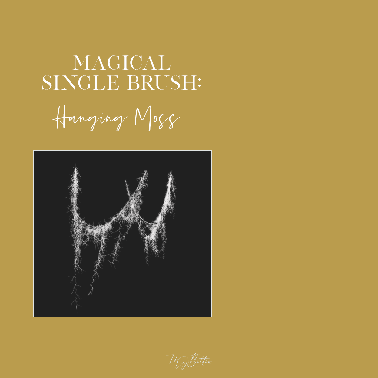 Magical Single Brush - Hanging Moss - Meg Bitton Productions