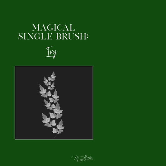 Magical Single Brush - Ivy - Meg Bitton Productions
