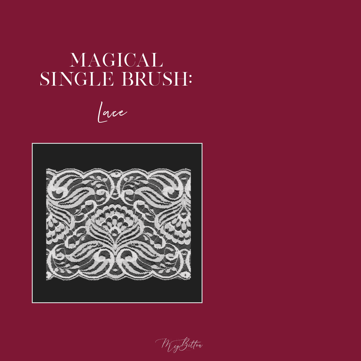 Magical Single Brush - Lace - Meg Bitton Productions