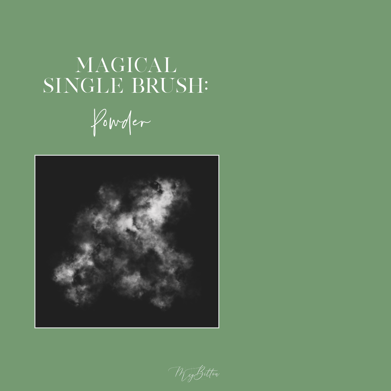 Magical Single Brush - Powder - Meg Bitton Productions
