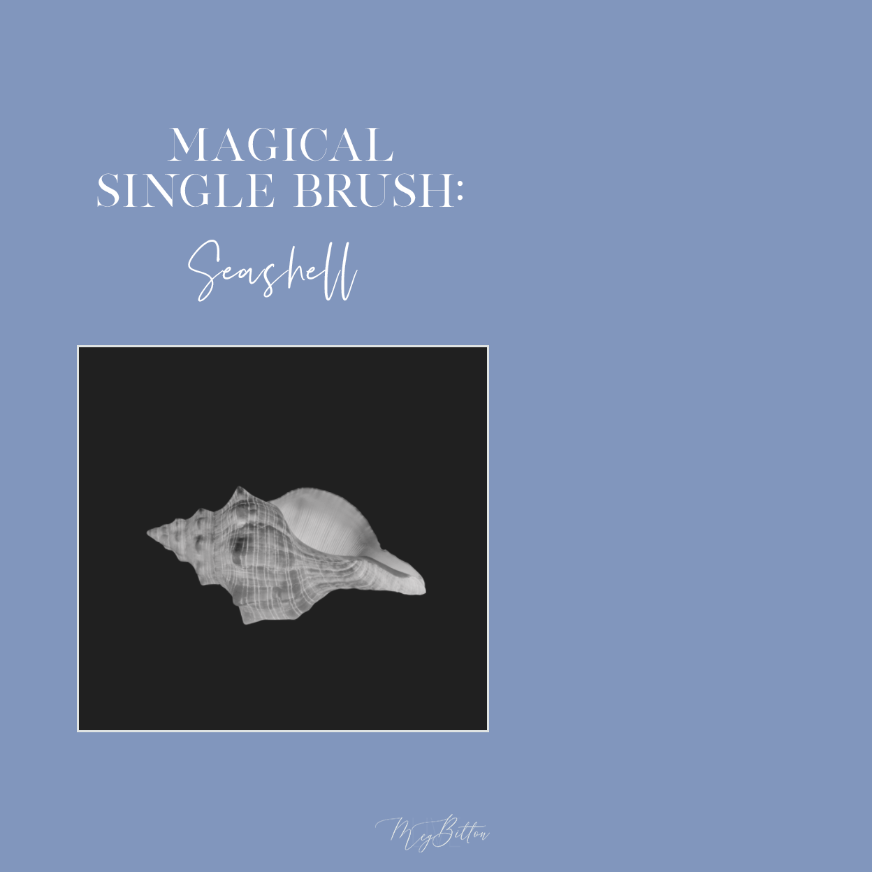 Magical Single Brush - Seashell - Meg Bitton Productions