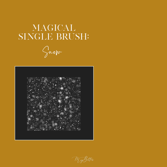 Magical Single Brush - Snow - Meg Bitton Productions