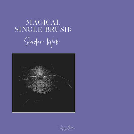 Magical Single Brush - Spider Web - Meg Bitton Productions