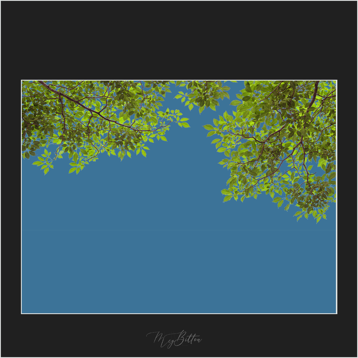 Magical Tree Branches Overlay – Meg Bitton Productions