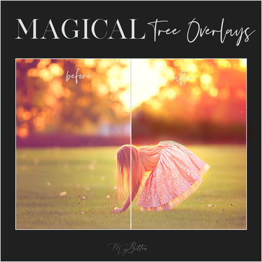 Magical Tree Overlays - Meg Bitton Productions
