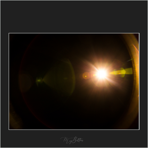 Magical Warm Lens Flare Overlay - Meg Bitton Productions