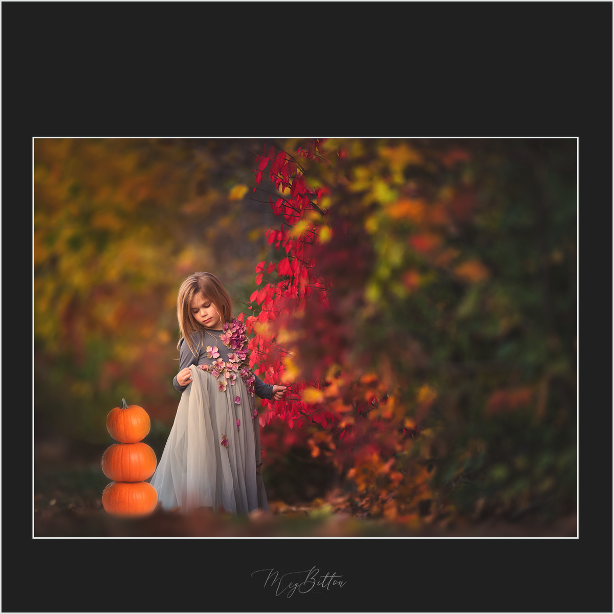 Magical Autumn Pumpkins - Meg Bitton Productions