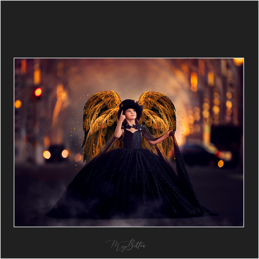 Magical Beautiful Wings - Meg Bitton Productions