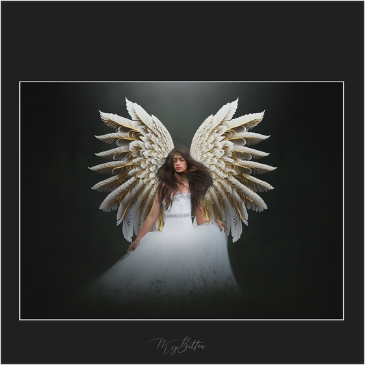 Magical Ethereal Wings - Meg Bitton Productions