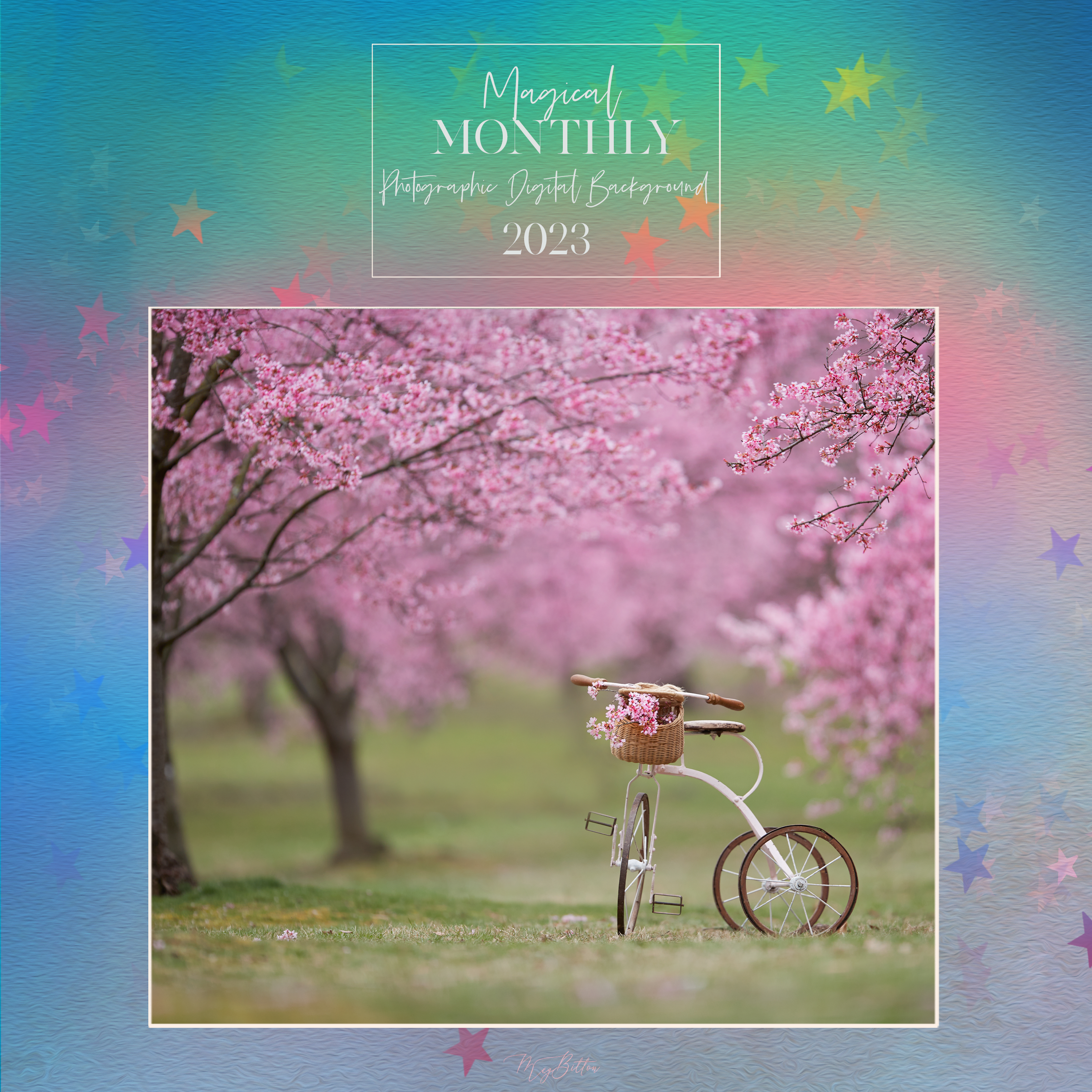 Magical Monthly Photographic Digital Background 2023 - Meg Bitton Productions