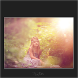 Magical Sunny Light Flares - Meg Bitton Productions