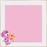 May Flowers Marketing Template - Meg Bitton Productions