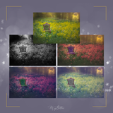 Meadow Chair Digital Background Bundle - Meg Bitton Productions