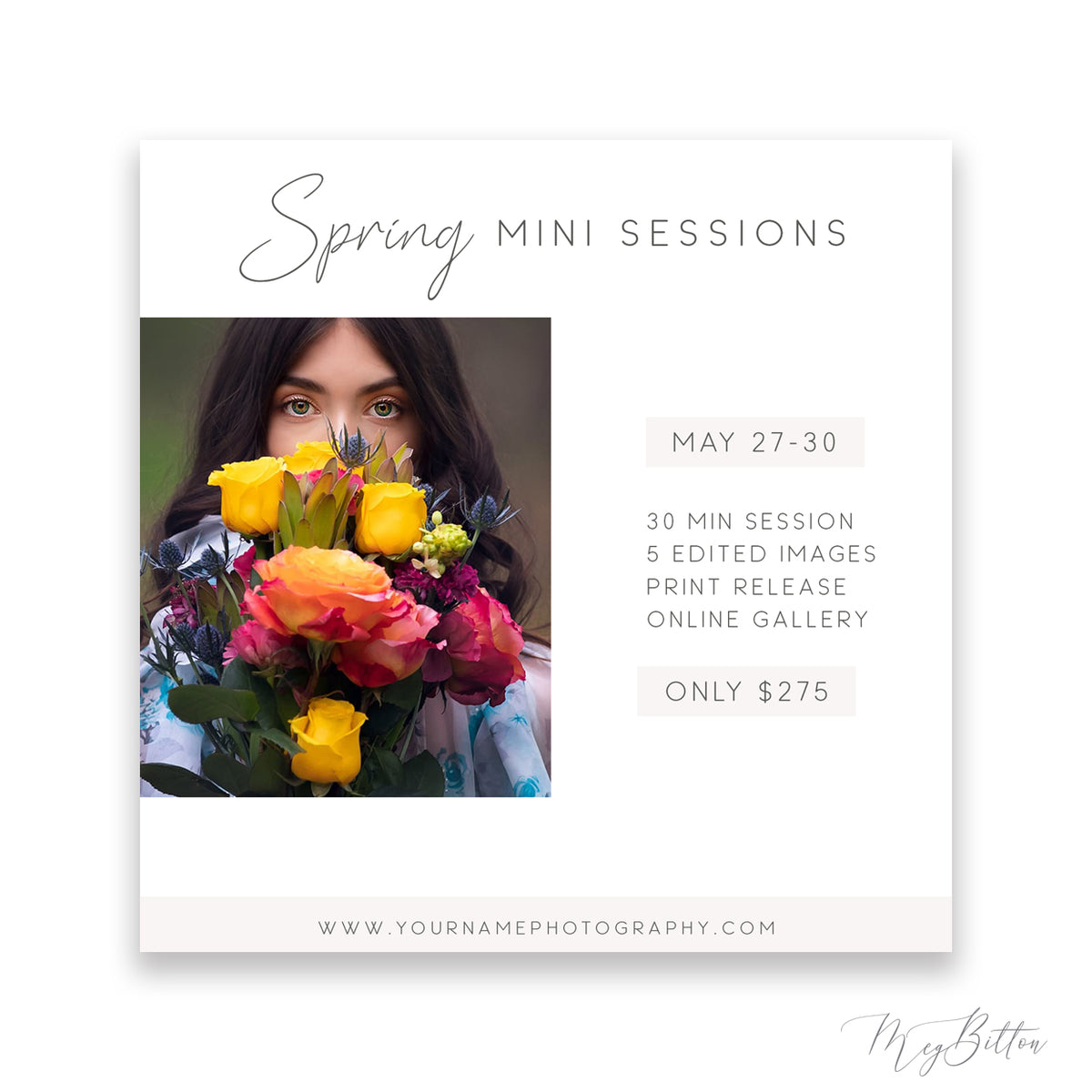 Mini Sessions - Meg Bitton Productions